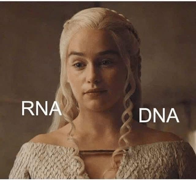 Daenerys Targaryen from Game of Thrones is shown with two labeled braids: one says “RNA,” the other “DNA.”