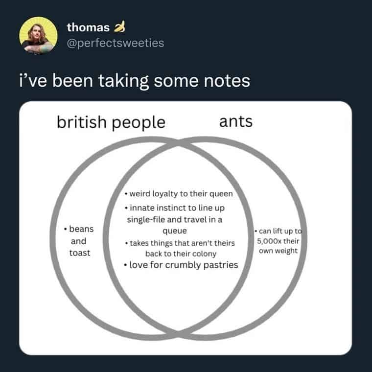 A Venn diagram comparing “British people” and “ants” lists shared traits like loyalty to the queen, traveling in queues, and taking things back to their colony.