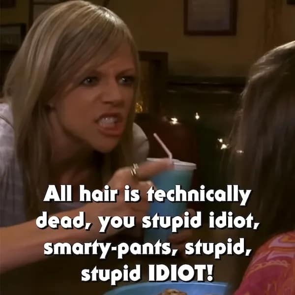 An angry Sweet Dee quote where she aggressively screams that all hair is technically dead to win an argument.