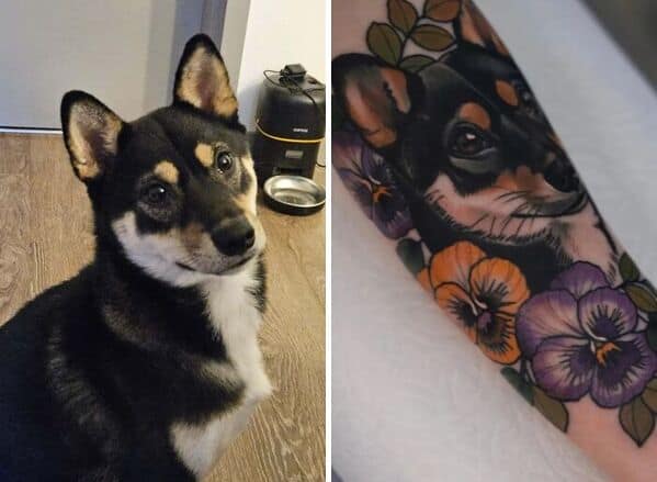 Shiba Inu dog tattoo surrounded by pansy flowers
