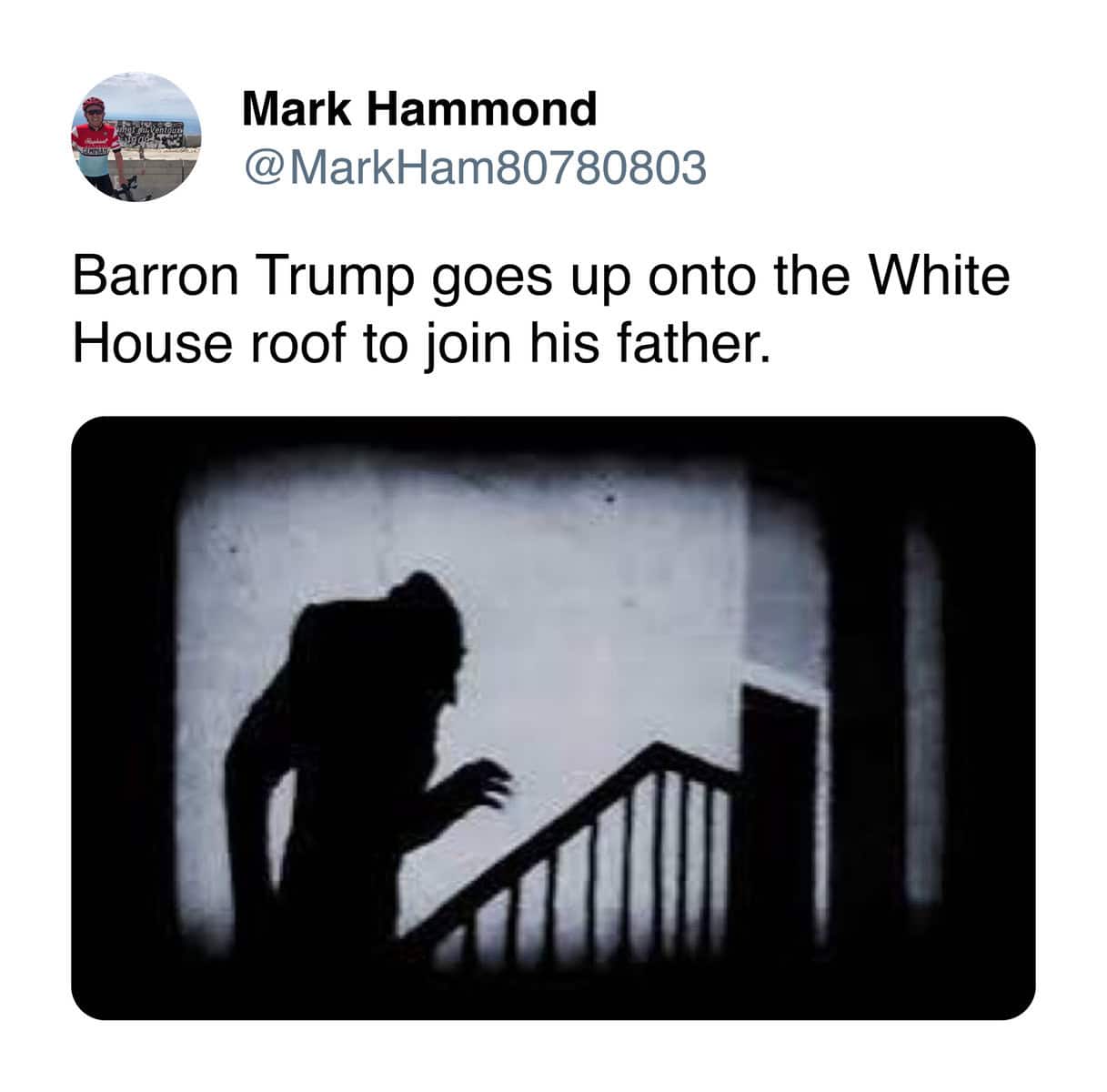 Trump White House roof meme capturing a ridiculous rooftop stunt for comedic effect.