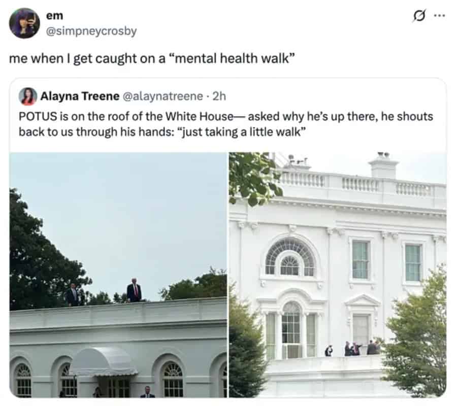 Trump White House roof meme showing a giant inflatable figure on the roof.