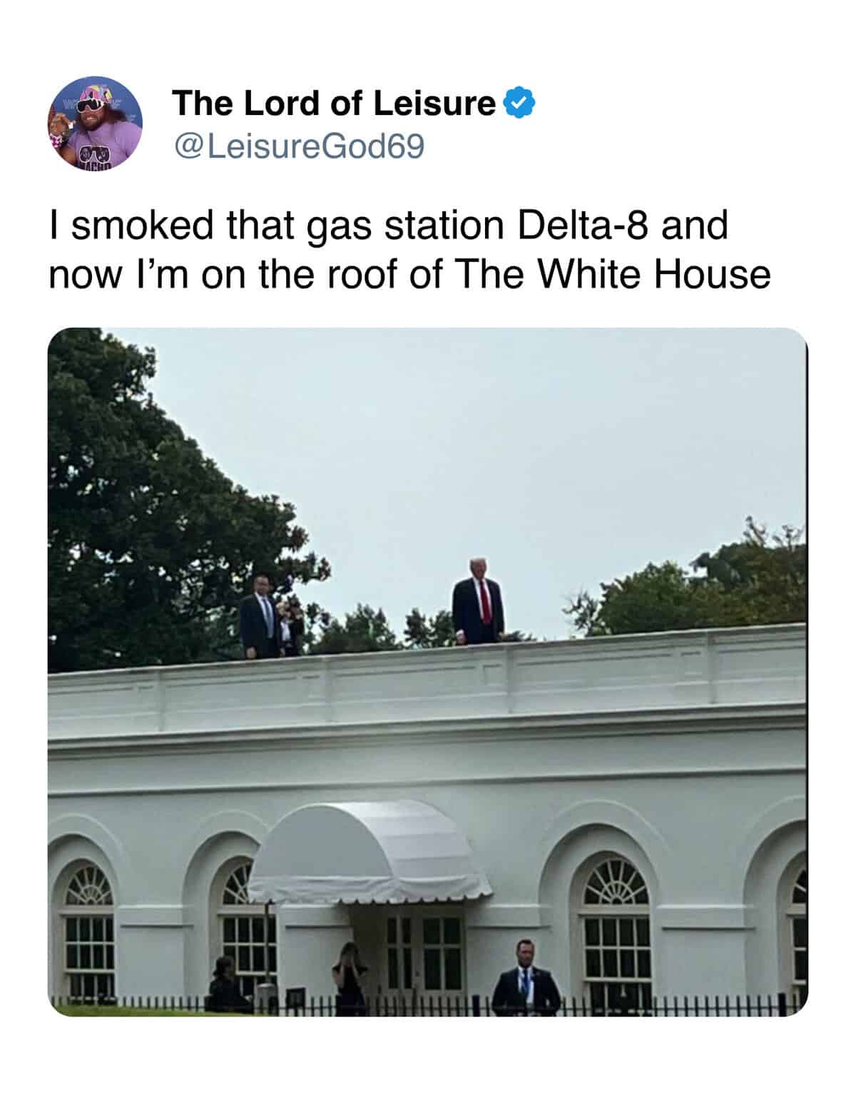 Trump White House roof meme showing a surreal rooftop party with political figures