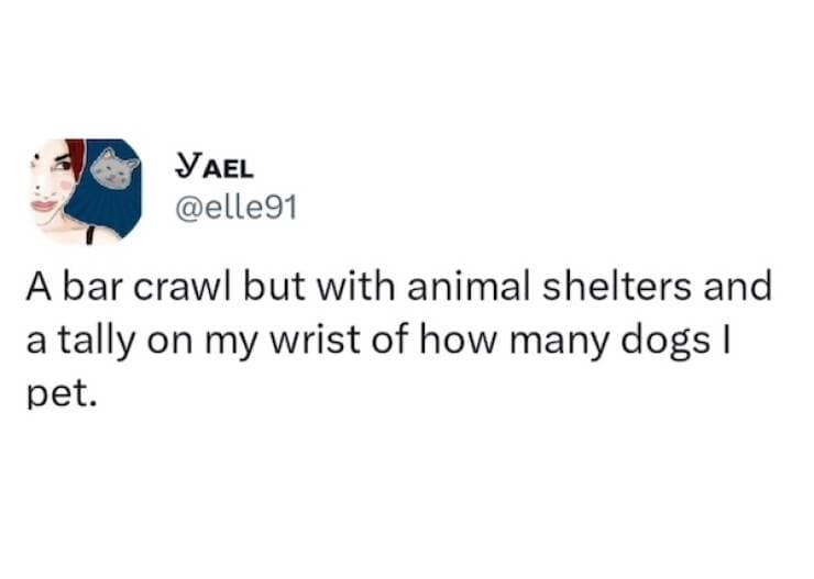 Text meme imagining a bar crawl through animal shelters with a wrist tally of dogs petted.