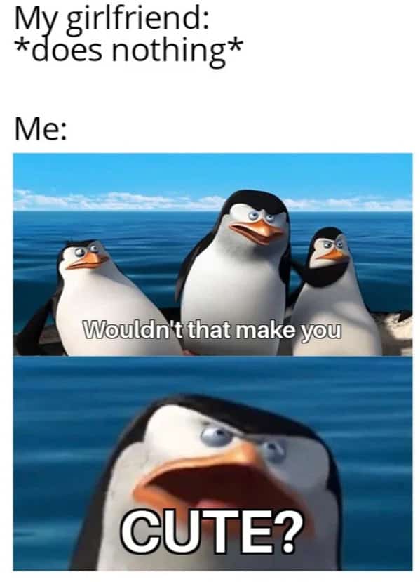 Penguins of Madagascar scene with caption: “My girlfriend does nothing—me: Wouldn’t that make you CUTE?”