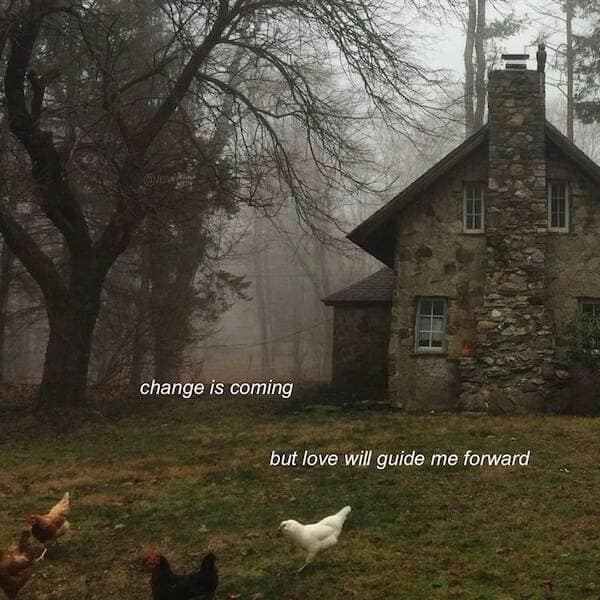 Misty yard, stone cottage, and chickens with the caption that love will guide you through change.