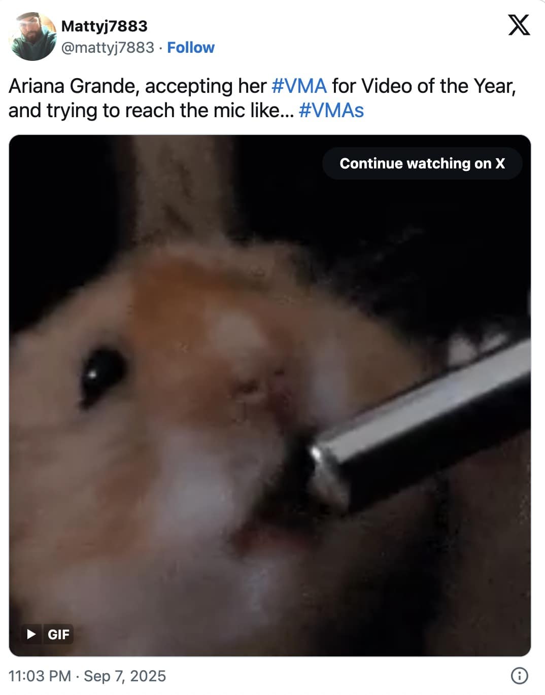 Close-up of a tiny hamster stretching toward a microphone tip.