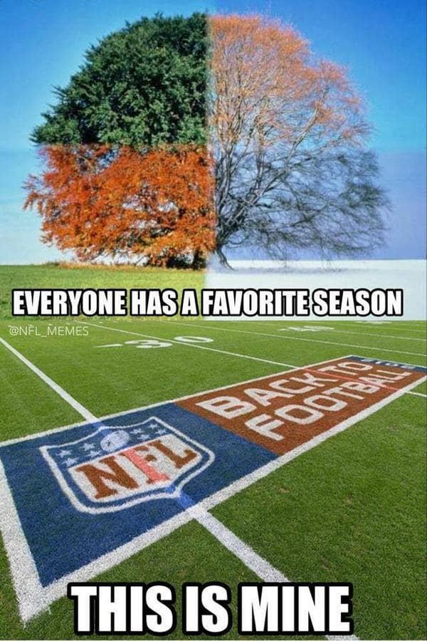 football field with “Back to Football” logo; background tree shows four seasons split down the middle.