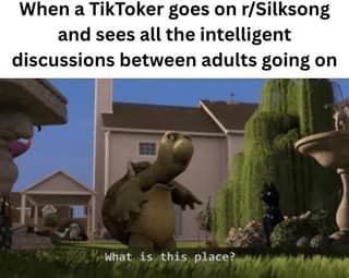 Silksong meme of a confused cartoon turtle in a suburban yard captioned “What is this place?” about a TikToker visiting r/Silksong.