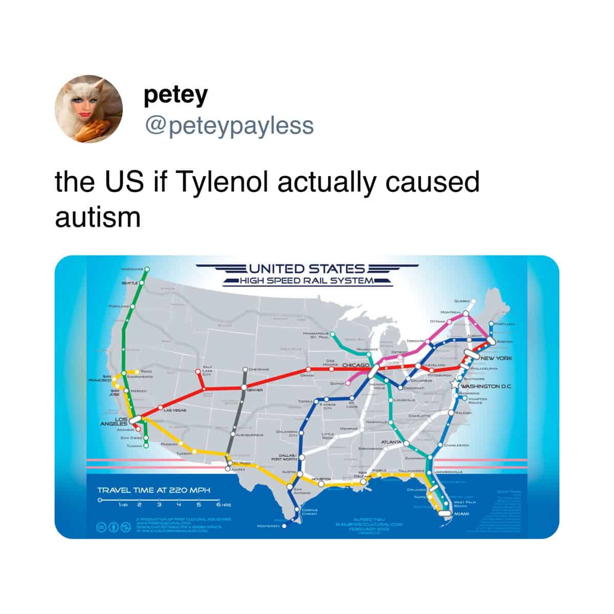 A Trump Tylenol meme joking that the US would have high-speed rail if Tylenol really caused autism.