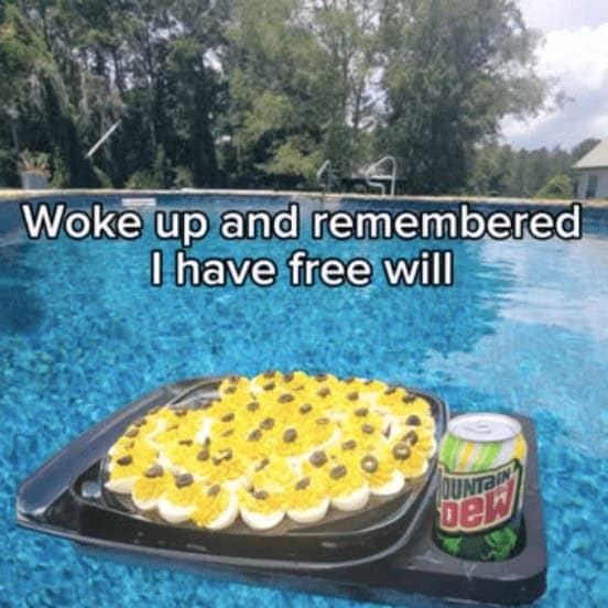 A tray of deviled eggs and a can of Mountain Dew floating on a tray in a swimming pool