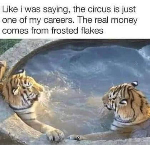 A funny animal meme of two tigers in a hot tub talking about their careers.