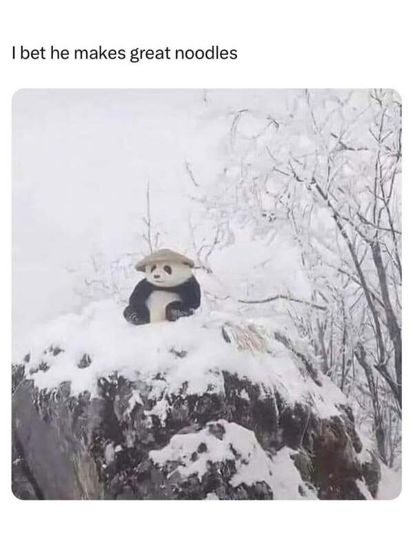 A cute animal meme of a panda in the snow wearing a hat, looking like he makes noodles.