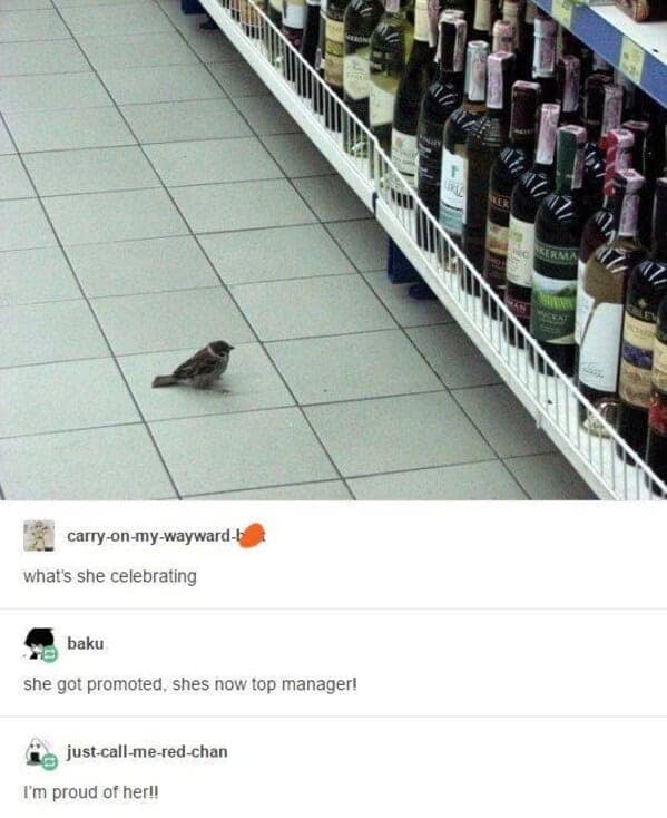 Sparrow standing alone in a supermarket wine aisle; comments pretend she’s “top manager.”