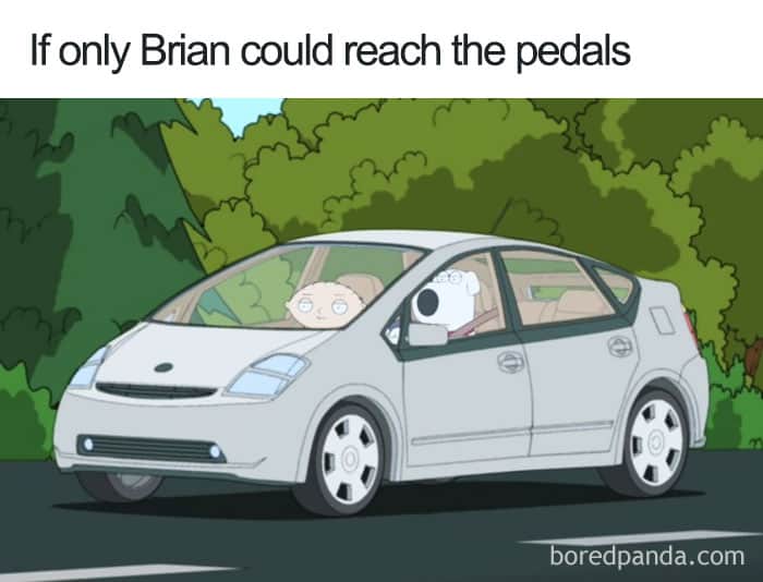 Stewie and Brian from Family Guy in a car, unable to drive