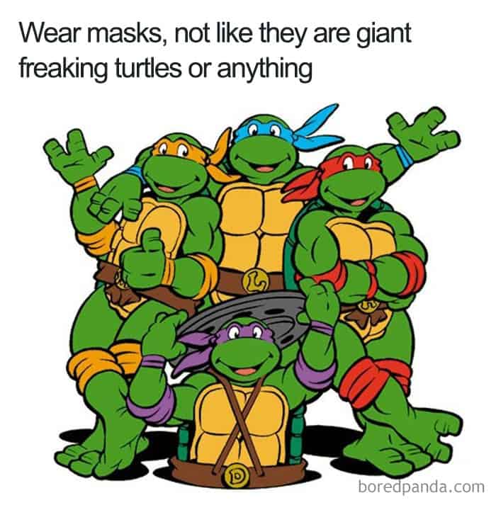 Teenage Mutant Ninja Turtles wearing masks that don't hide their giant turtle identities.