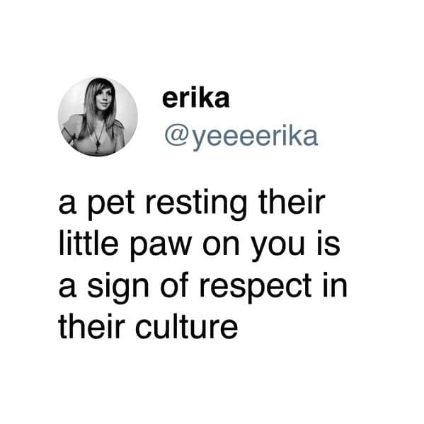 A dog meme tweet saying that a pet resting their paw on you is a sign of respect.