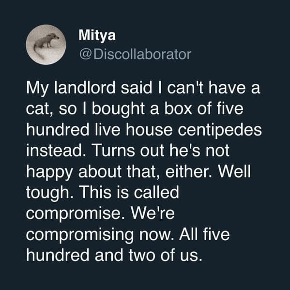 A funny cat meme tweet about compromising with a landlord by getting 500 centipedes instead of a cat.