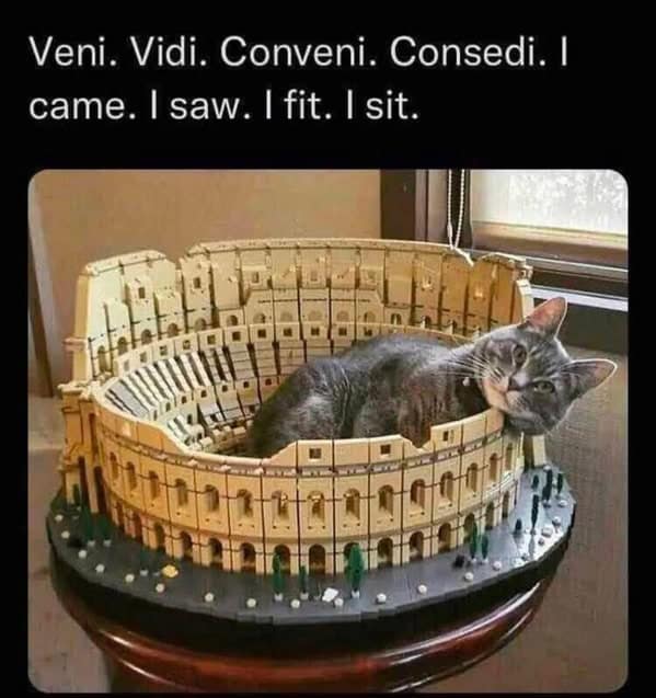 A funny cat meme of a cat sitting inside a LEGO Colosseum, with a hilarious Latin-inspired caption.