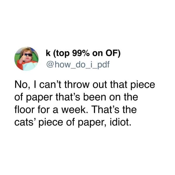 A funny and relatable tweet from a cat owner who isn't allowed to throw out a random piece of paper.