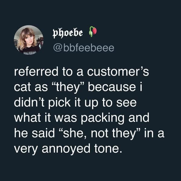 A user shares a funny story about a customer getting angry that their cat was referred to with "they/them" pronouns.