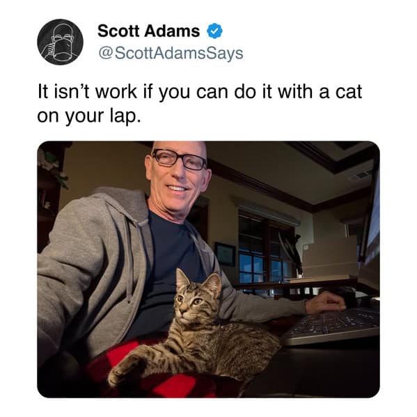 A wholesome tweet from Dilbert creator Scott Adams, saying it doesn't feel like work with a cat on your lap.