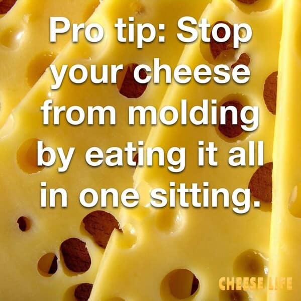 A funny pro-tip meme that suggests eating all your cheese in one sitting to prevent mold.