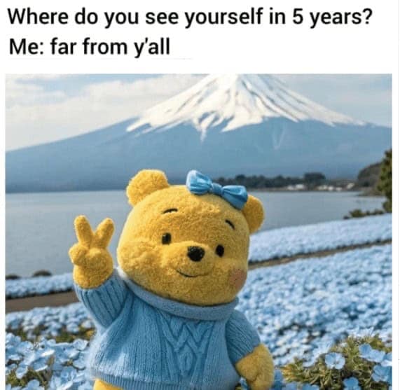 Winnie-the-Pooh plush in a blue sweater flashes a peace sign before Mt. Fuji and a sea of blue flowers; caption about being far in 5 years.