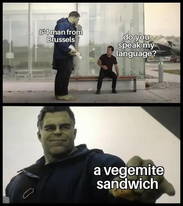 A classic meme of the Hulk from Avengers Endgame offering someone a Vegemite sandwich.