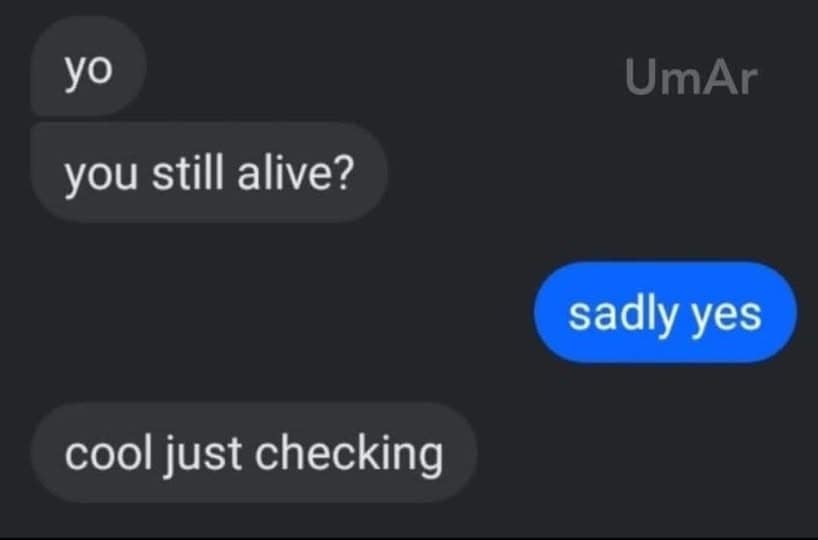 Minimal text chat: “yo you still alive?” — “sadly yes.” — “cool just checking.”