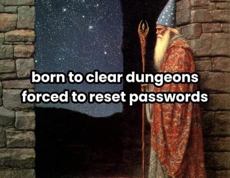 A classic meme of a wizard with the text "born to clear dungeons, forced to reset passwords."