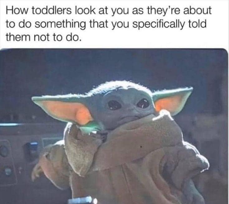 A classic meme using Baby Yoda to show how toddlers look right before they disobey you.