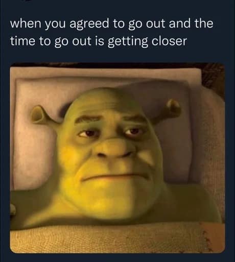 A classic meme of Shrek in bed, representing the dread of having to go out.