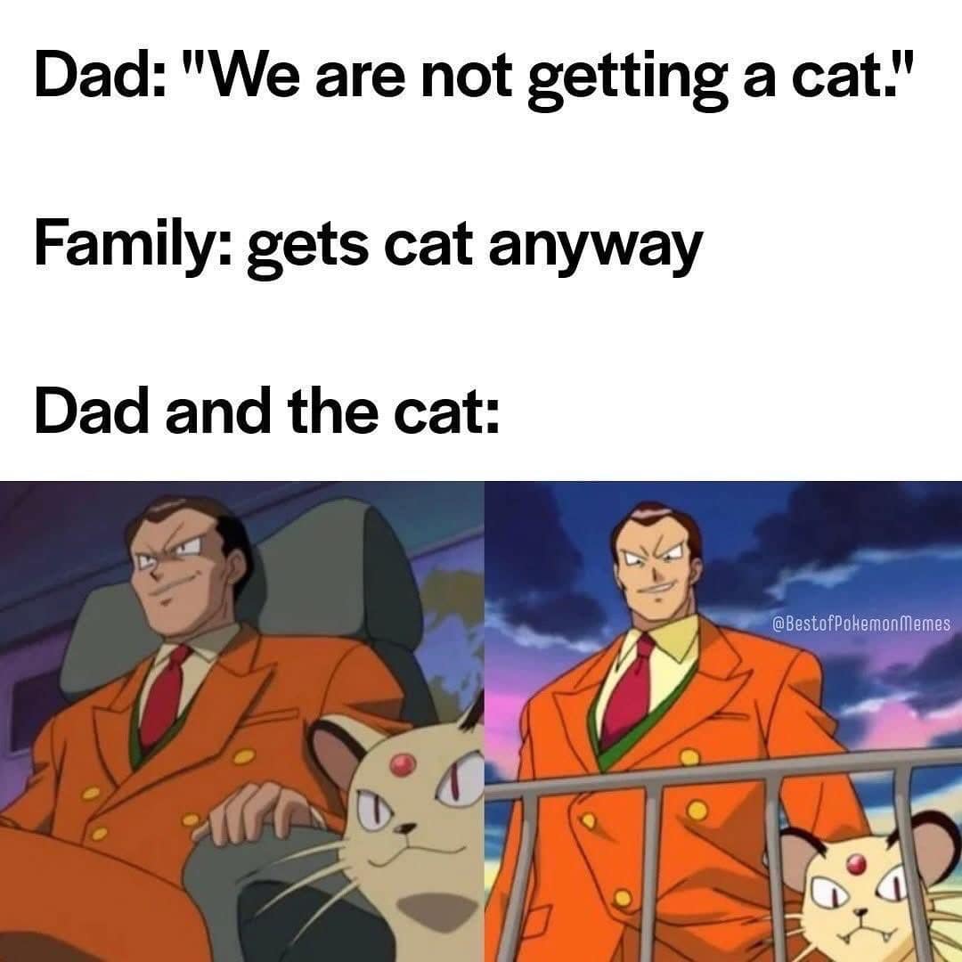 A classic meme using Giovanni from Pokemon to represent dads who didn't want a cat.