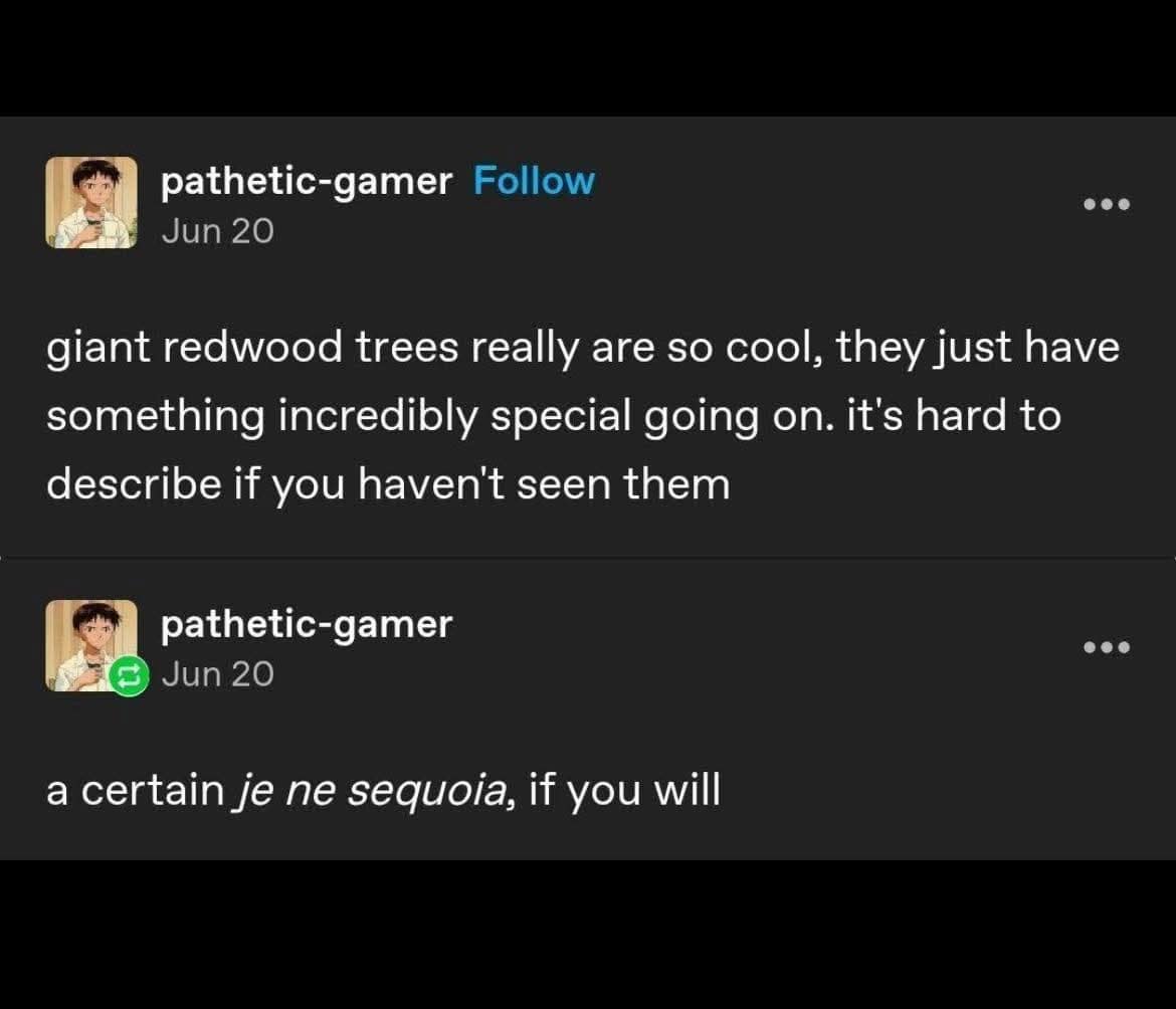 Screenshot post praising giant redwoods with a punny follow-up: “a certain je ne sequoia, if you will.”