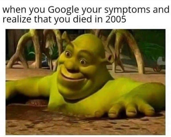 A classic meme using a photo of Shrek to describe the feeling of Googling your symptoms.