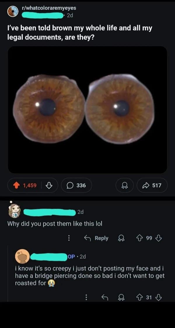 Reddit thread with two close-up iris photos; a commenter asks why they were posted like that, OP admits it looks creepy and didn’t want to show their face.