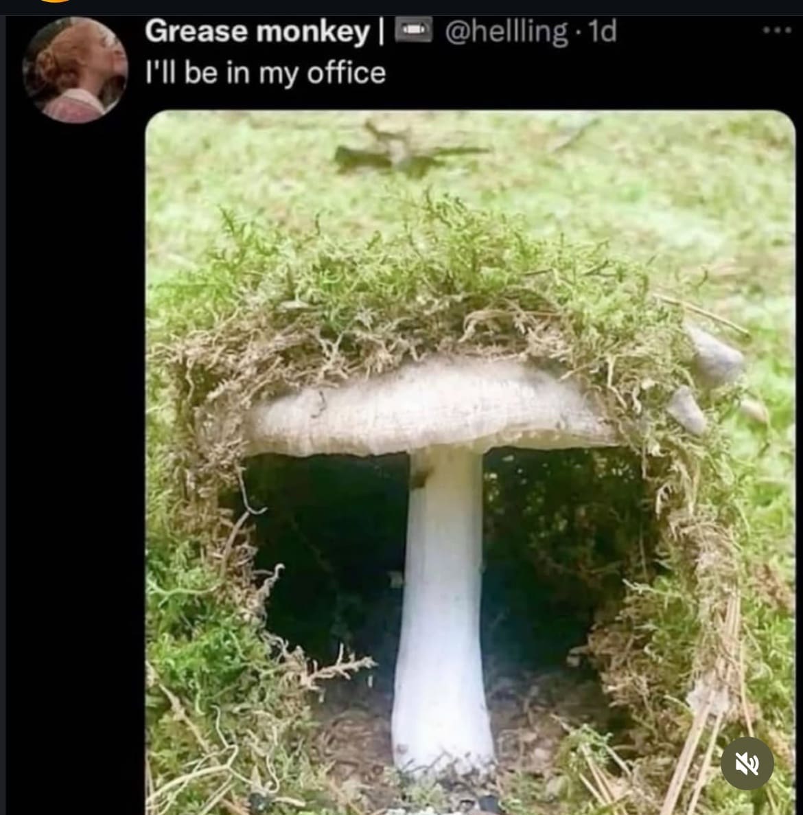 A classic meme tweet of a mushroom house with the caption "I'll be in my office."