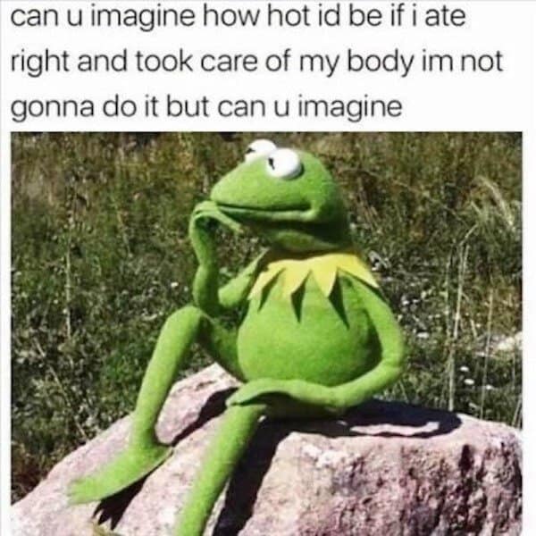 A classic meme of Kermit the Frog wondering how attractive he would be if he took care of himself.