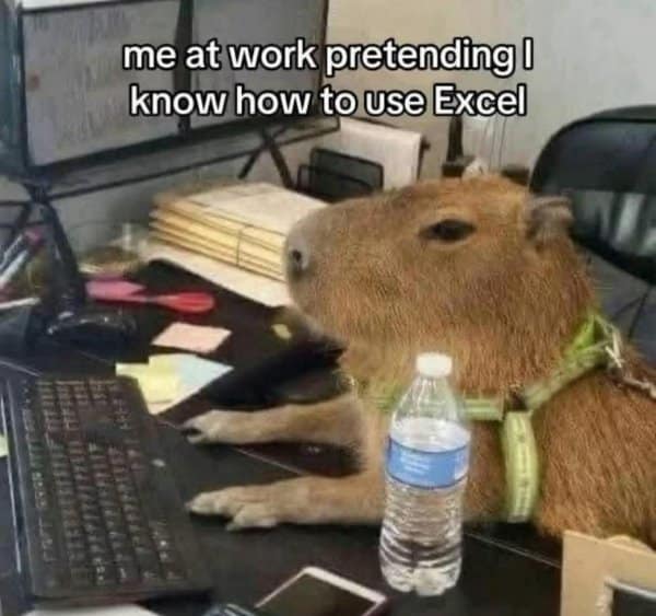 Capybara sitting at an office desk and keyboard with caption: “me at work pretending I know how to use Excel.”