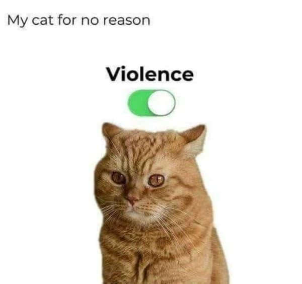 A classic meme of a cat with a "Violence" toggle switch turned on for no reason.