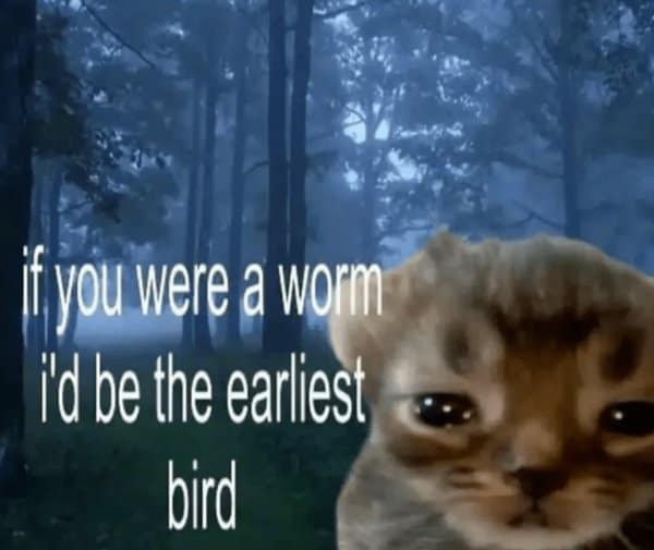 A classic meme with a dad joke about abacus beads because "it's the little things that count."