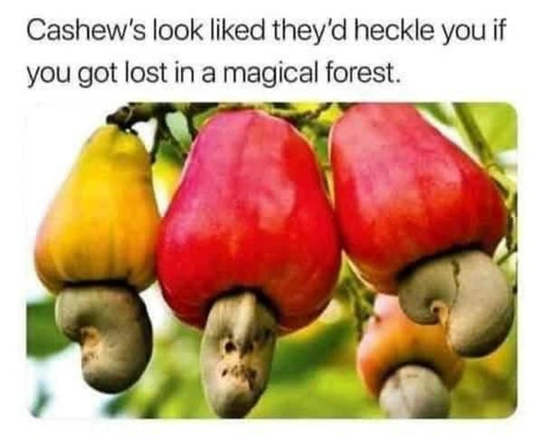 A classic meme describing how cashews look like they would heckle you in a magical forest.