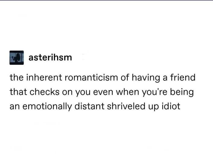 A classic meme of a Tumblr post about the romanticism of friends who check on you.