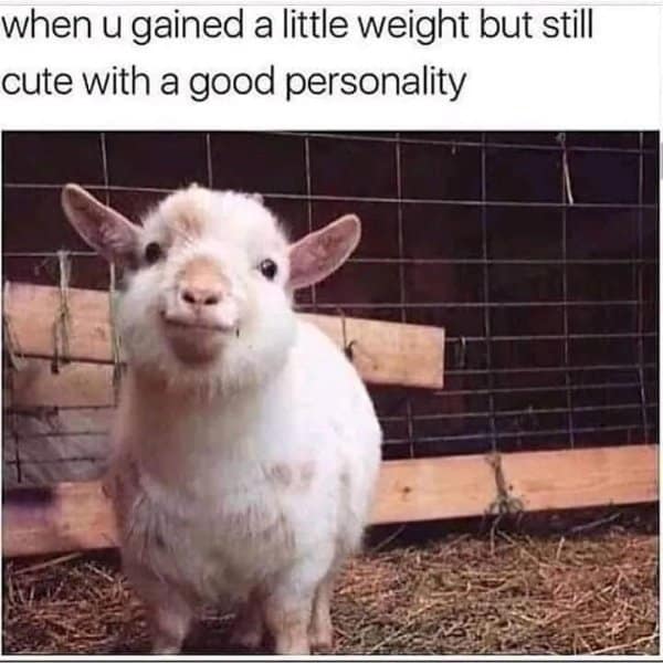 Smiling baby goat in a pen; caption about gaining a little weight but still being cute with a good personality.