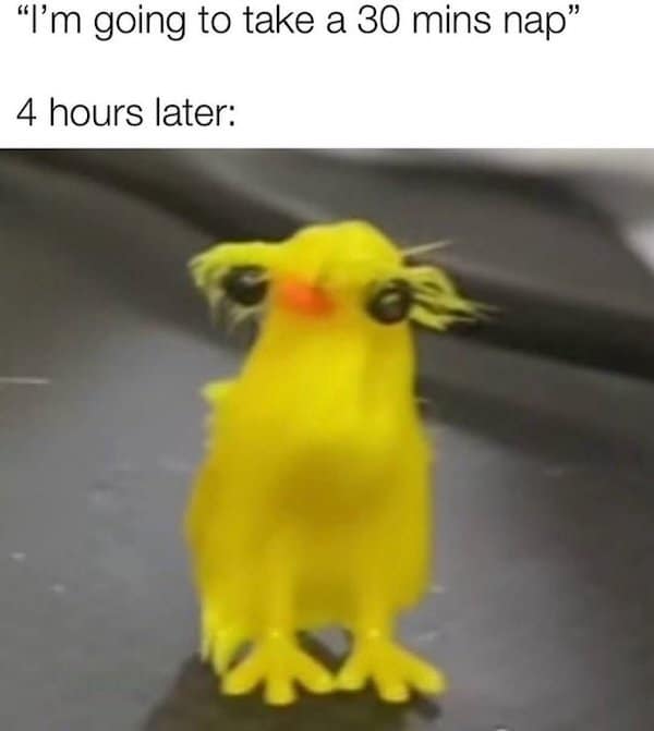 Disheveled yellow toy bird stands wobbly; caption contrasts a “30-minute nap” with waking up four hours later.