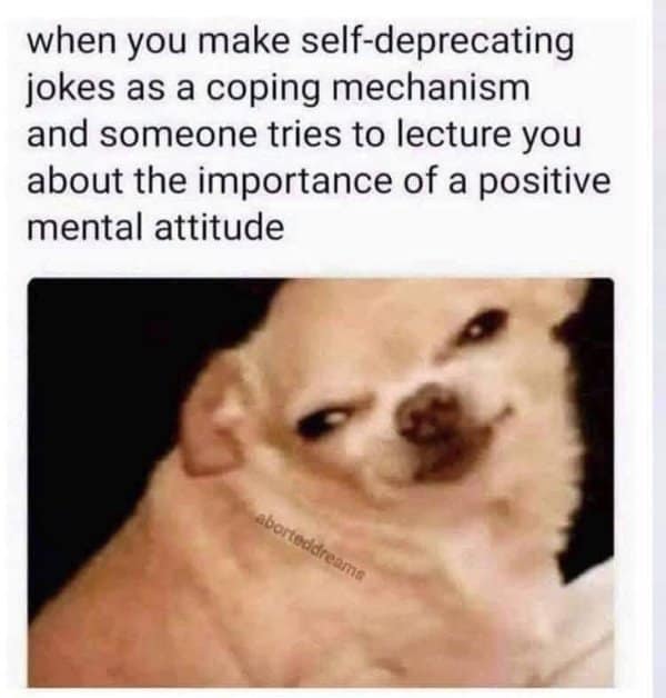 A classic meme of a chihuahua reacting to someone giving a lecture about positive mental attitude.