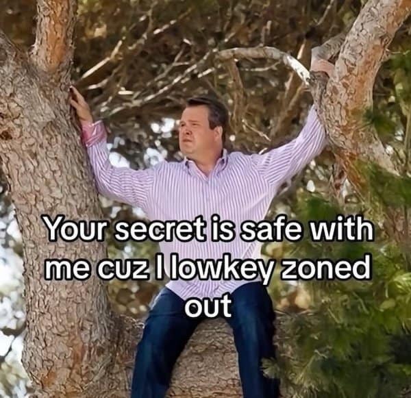 Man perched awkwardly in a tree; caption says your secret is safe because he zoned out