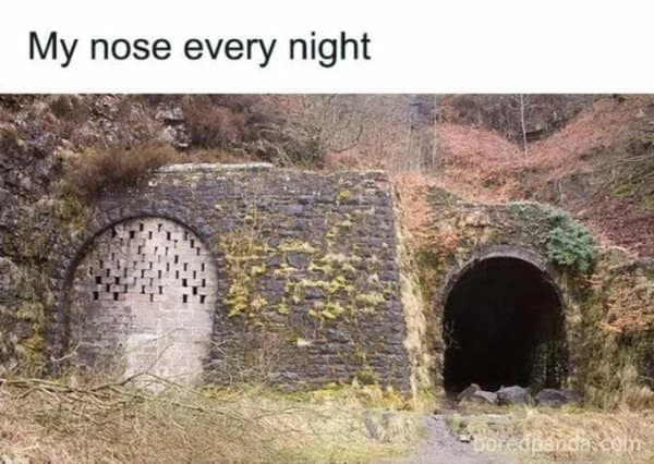 Two tunnel entrances: one bricked up, one open; caption “My nose every night.”