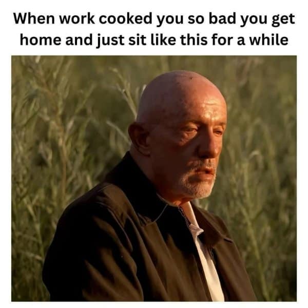 A classic meme using Mike from "Breaking Bad" to show how you feel after a hard day at work.